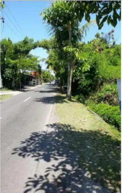 Tanah Murah Dkt Pantai Pererenan - Image 6 of 10