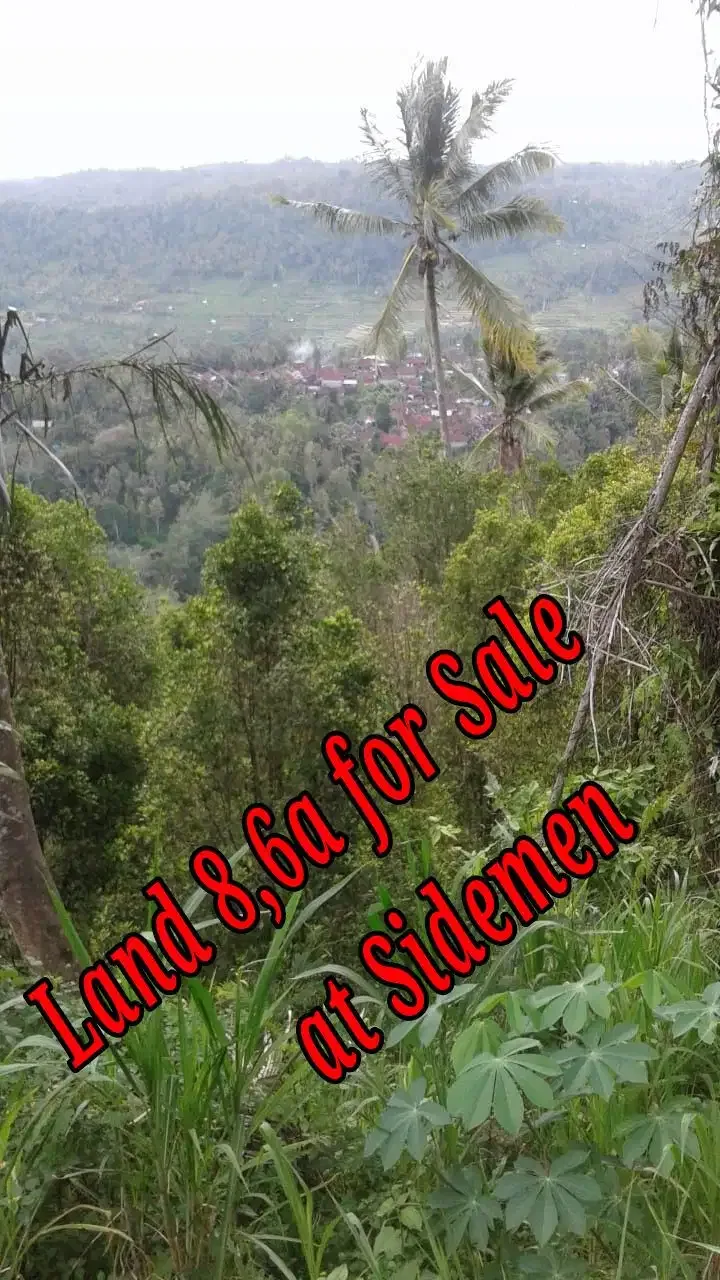 Land 8,6a for Sale at Sidemen Traditional Village Bali - Image 1 of 5