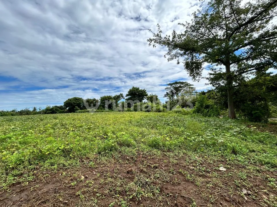 Tanah Kawasan Seririt Buleleng - Image 1 of 4