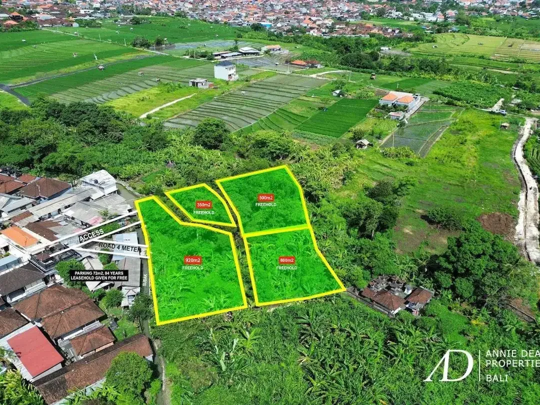 FREEHOLD & LEASEHOLD LAND OPPORTUNITY IN PADONAN - CANGGU - Image 6 of 10