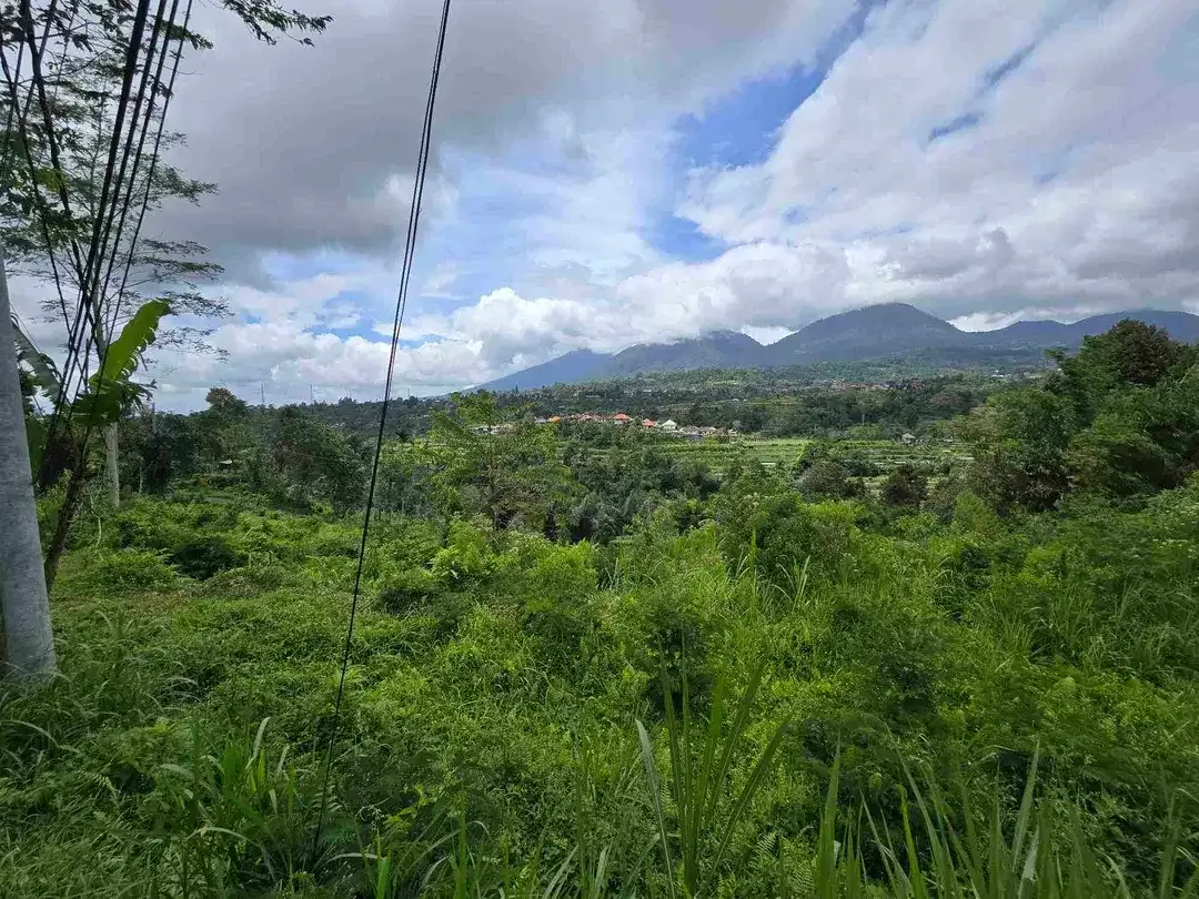 dijual tanah view exotik gunung dan terasering di baturiti bali - Image 5 of 10