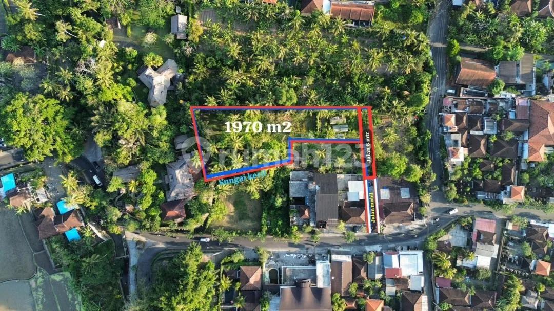 Premium Land - Nyuh Kuning, Ubud Lokasi Dekat Monkey Forest - Image 2 of 4
