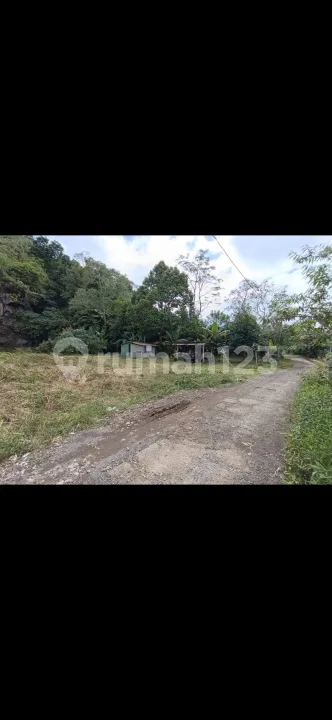 Dijual Tanah Datar dan Murah Diarea Strategis Hanya 5 Menit ke Pasar Tabanan Bali - Image 4 of 4