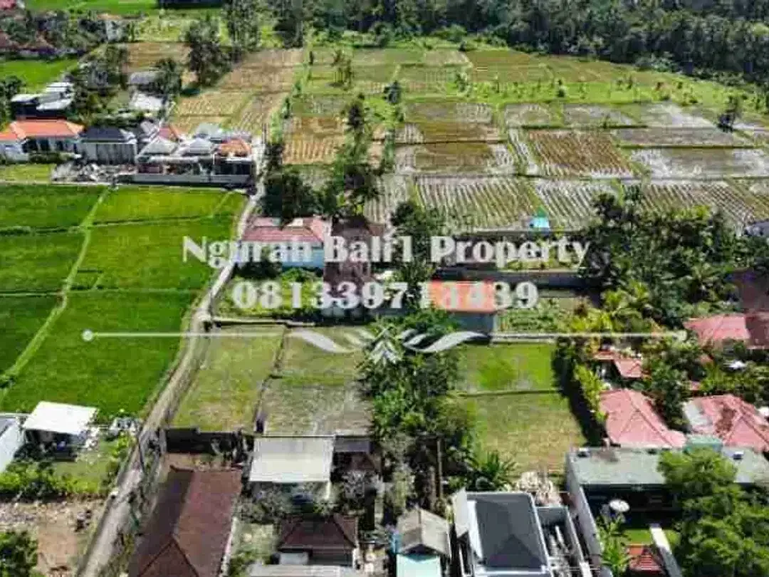 Land For Rent Murah Luas 1300 m2 Kawasan Villa di Ubud - Image 4 of 6