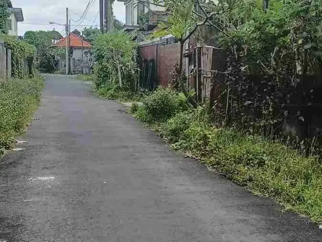 tanah bonus bangunan jalan batu bolong Canggu bali - Image 4 of 6