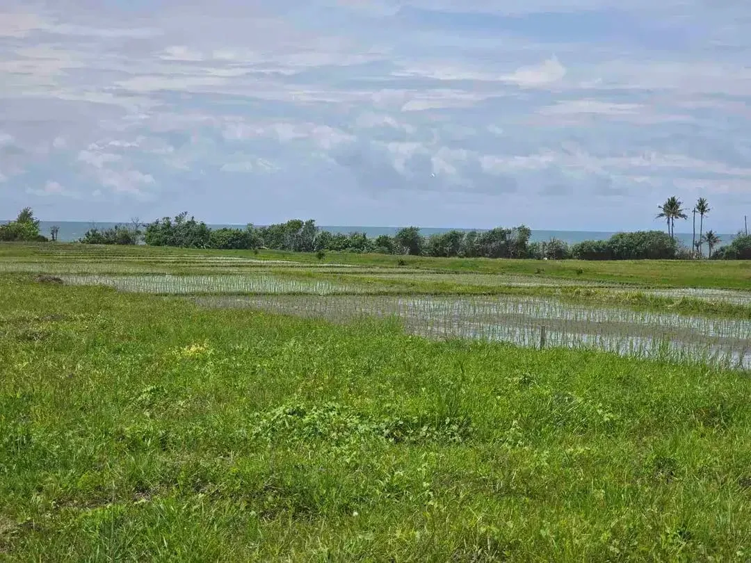 dijual tanah kecil view laut sawah di pantai pasut tabanan bali - Image 2 of 10