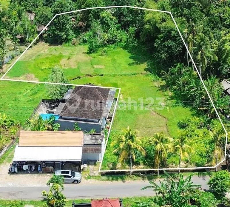 Tanah Dibawah Harga Pasaran Dekat Jalan Utama Denpasar Gilimanuk - Image 1 of 4
