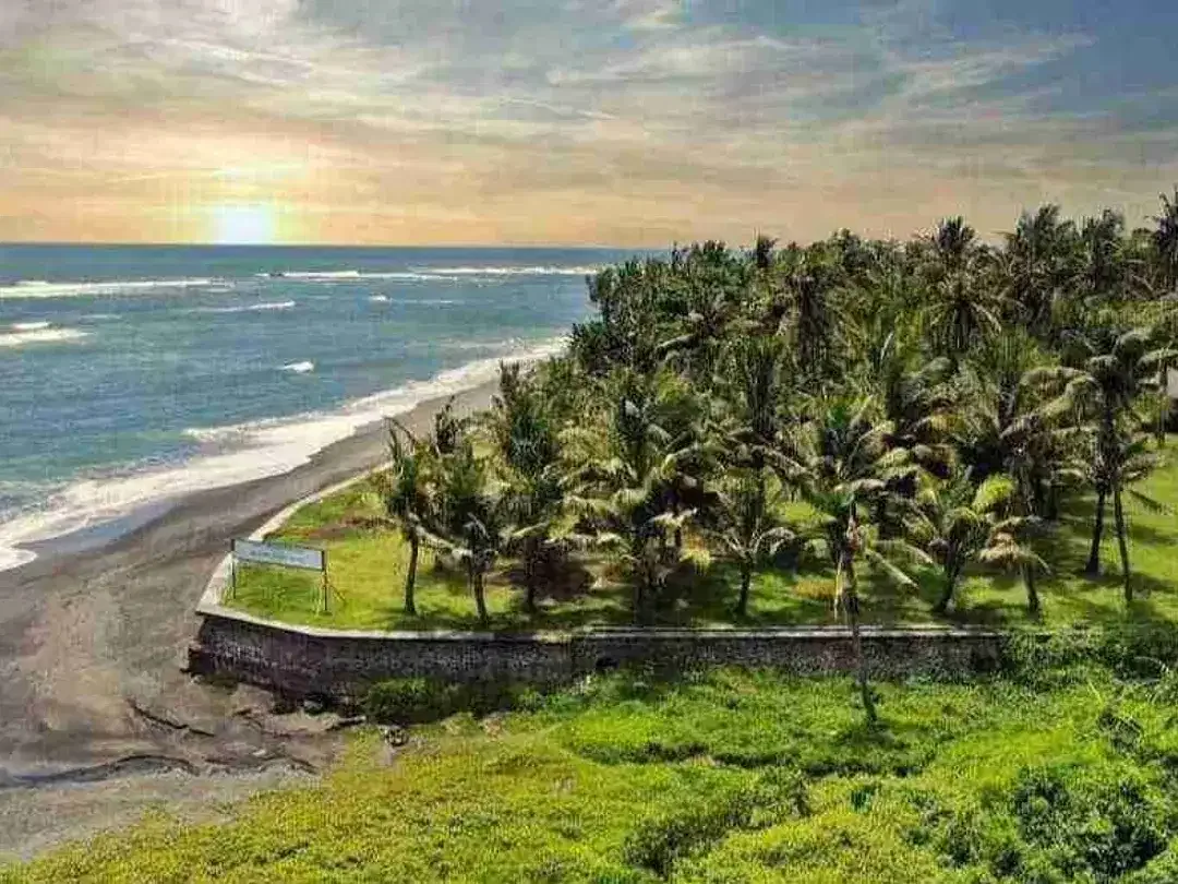 Dijual/Disewakan Tanah 80a di Cemagi Beach Canggu Bali - Image 2 of 10