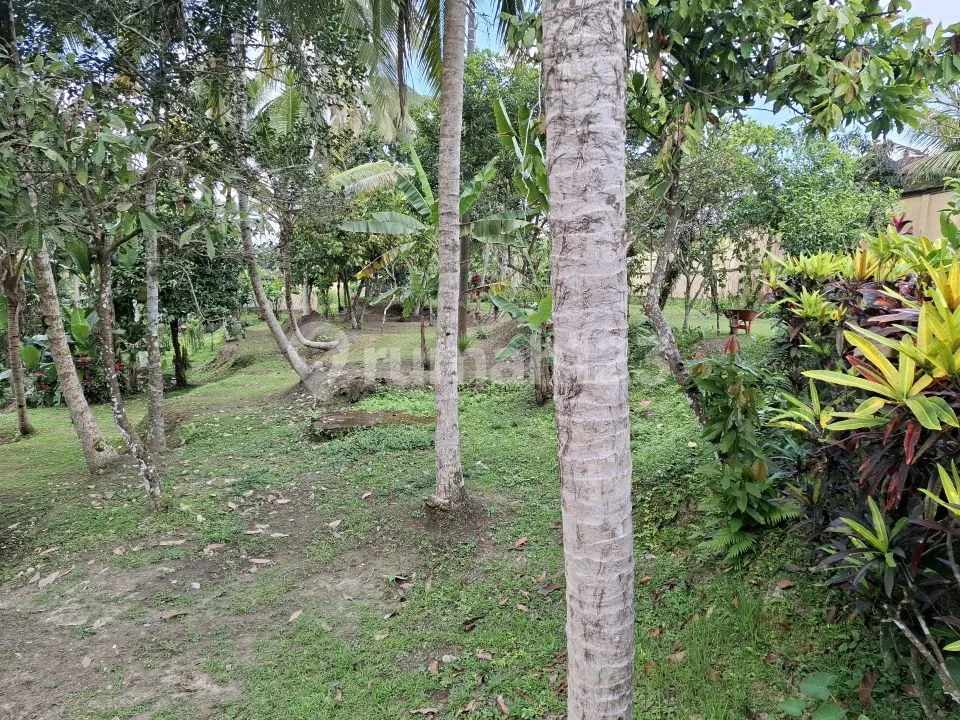 Tanah dan Villa Tepi Sungai Ubud - Image 2 of 4