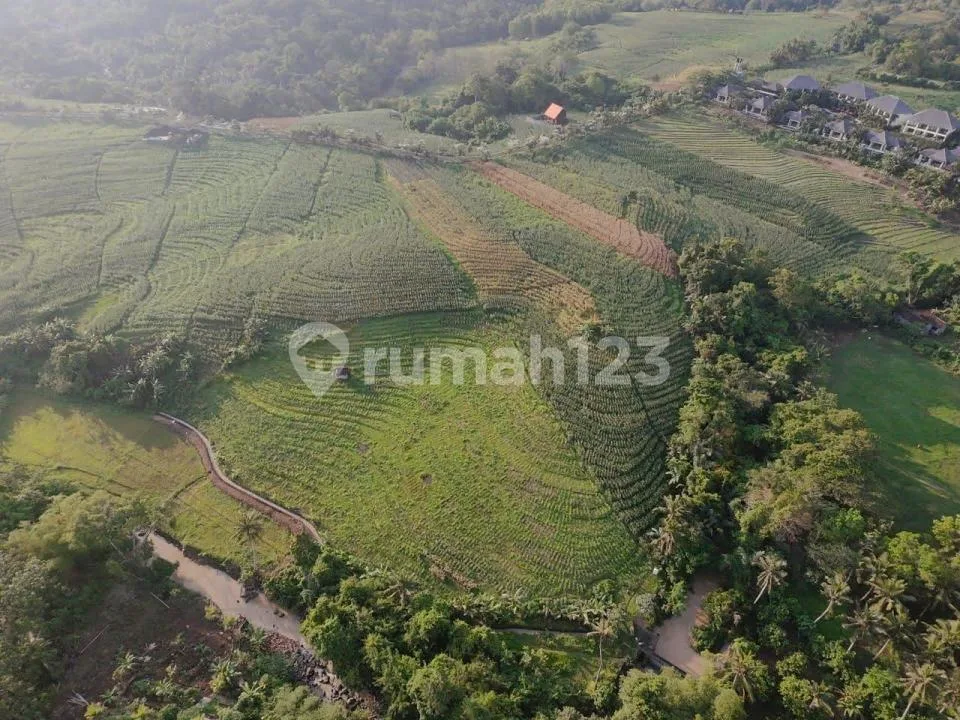 Tanah Kawasan Pariwisata Soka, Luas Strategis Dkt Pantai, Tabanan - Image 2 of 4