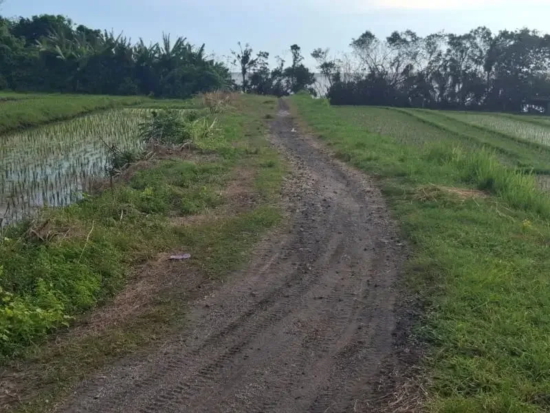 Dijual tanah murah los pantai di pasut tabanan bali - Image 3 of 8