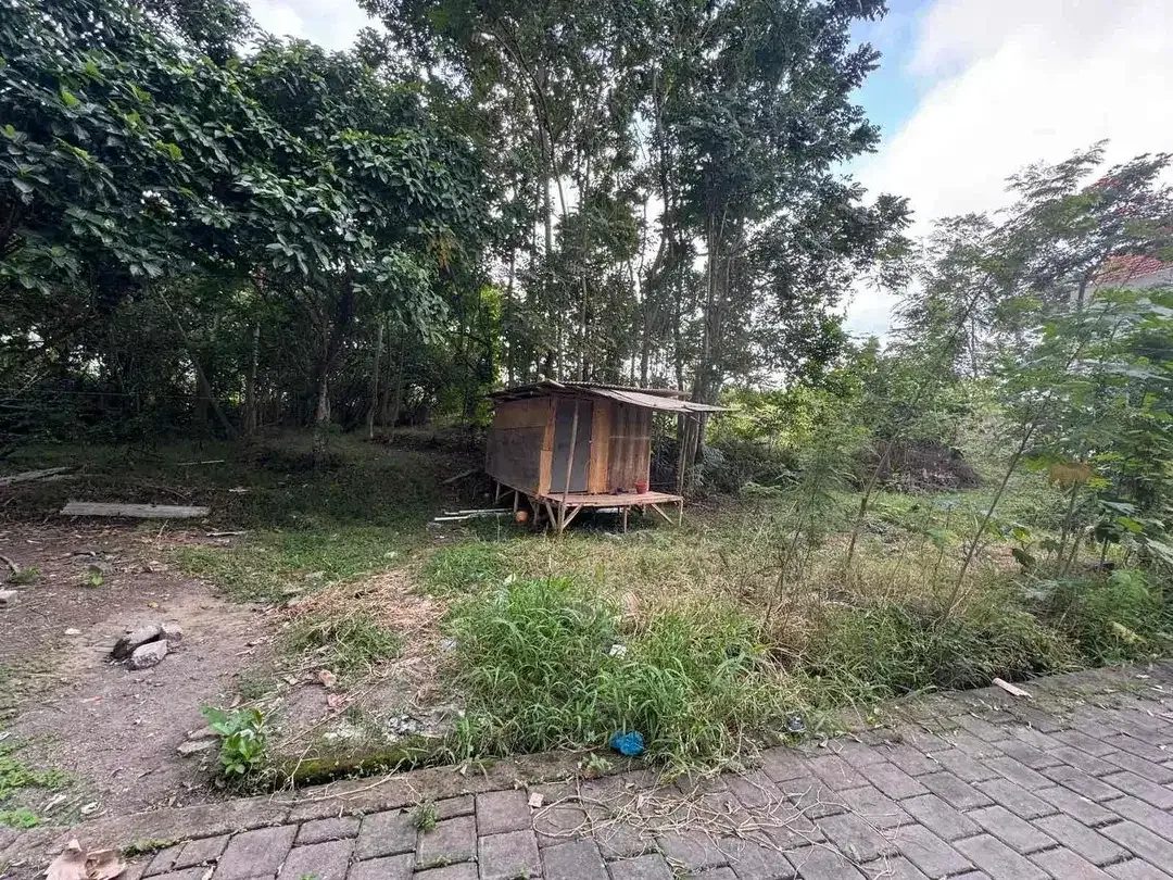 RARE SMALL PLOT LAND AT TUMBAK BAYUH CANGGU - Image 4 of 6