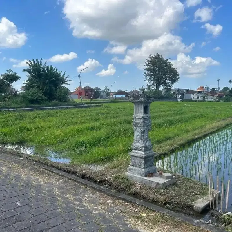 tanah murah zona kuning di buduk prerenan - Image 2 of 5