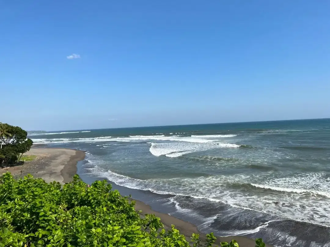 DIJUAL TANAH PREMIUM BEACHFRONT DI TABANAN - Image 4 of 10
