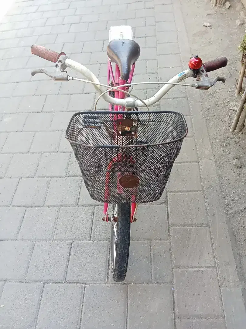 Sepeda anak perempuan WIMCYCLE STRAWBERRY R 20 - Image 3 of 3