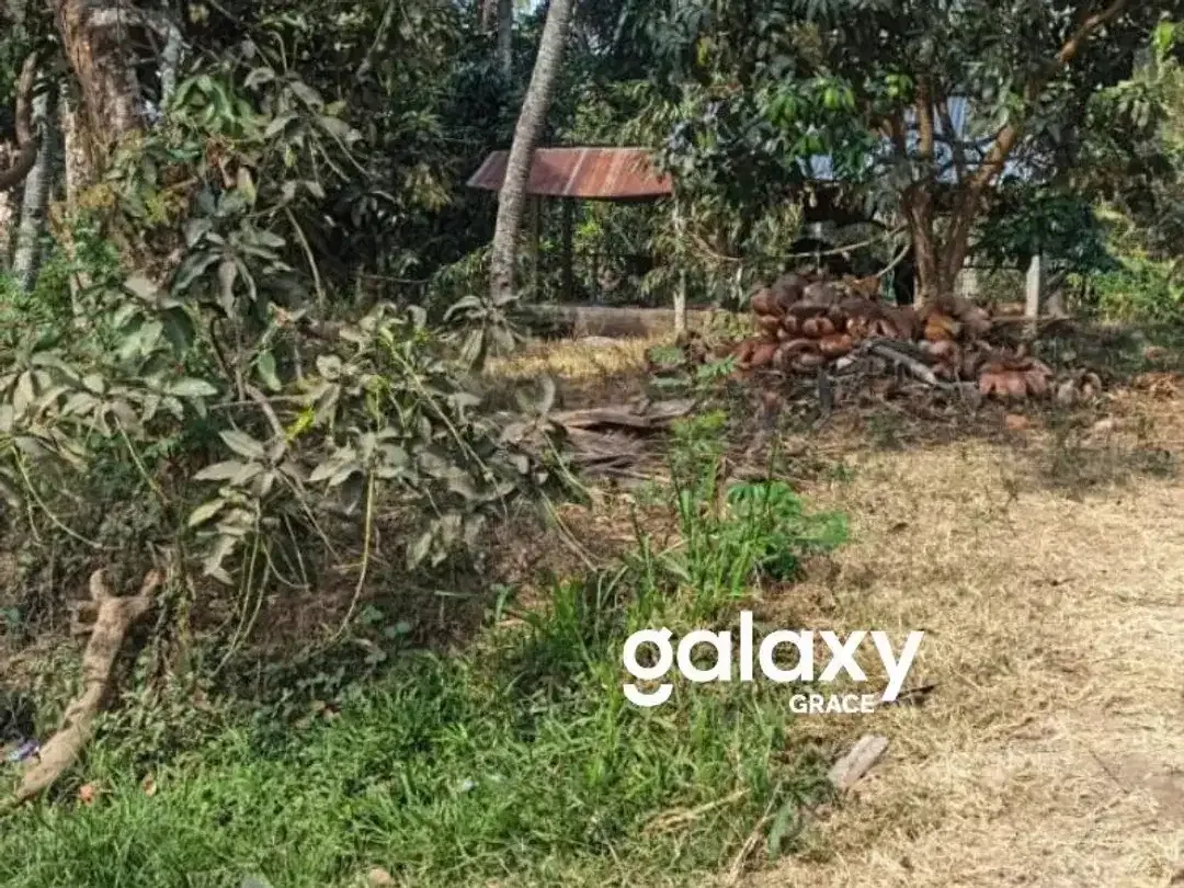 DIJUAL TANAH DI KUBUTAMBAHAN BULELENG - Image 4 of 6