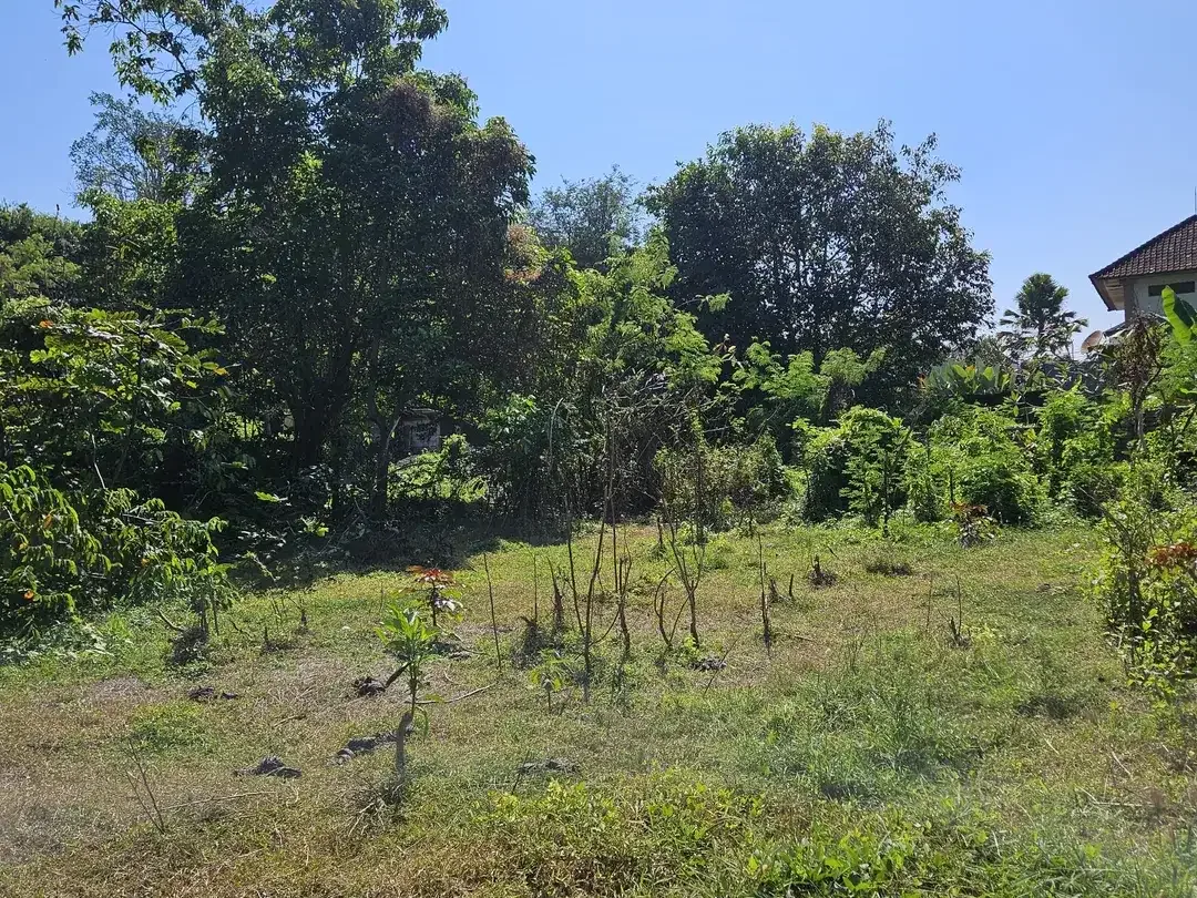 Prime Land Opportunity - Freehold Land in Strategic Kesiman Kertalangu - Image 6 of 9