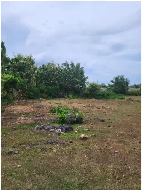 Tanah 8 Are di Kutuh - Image 4 of 9