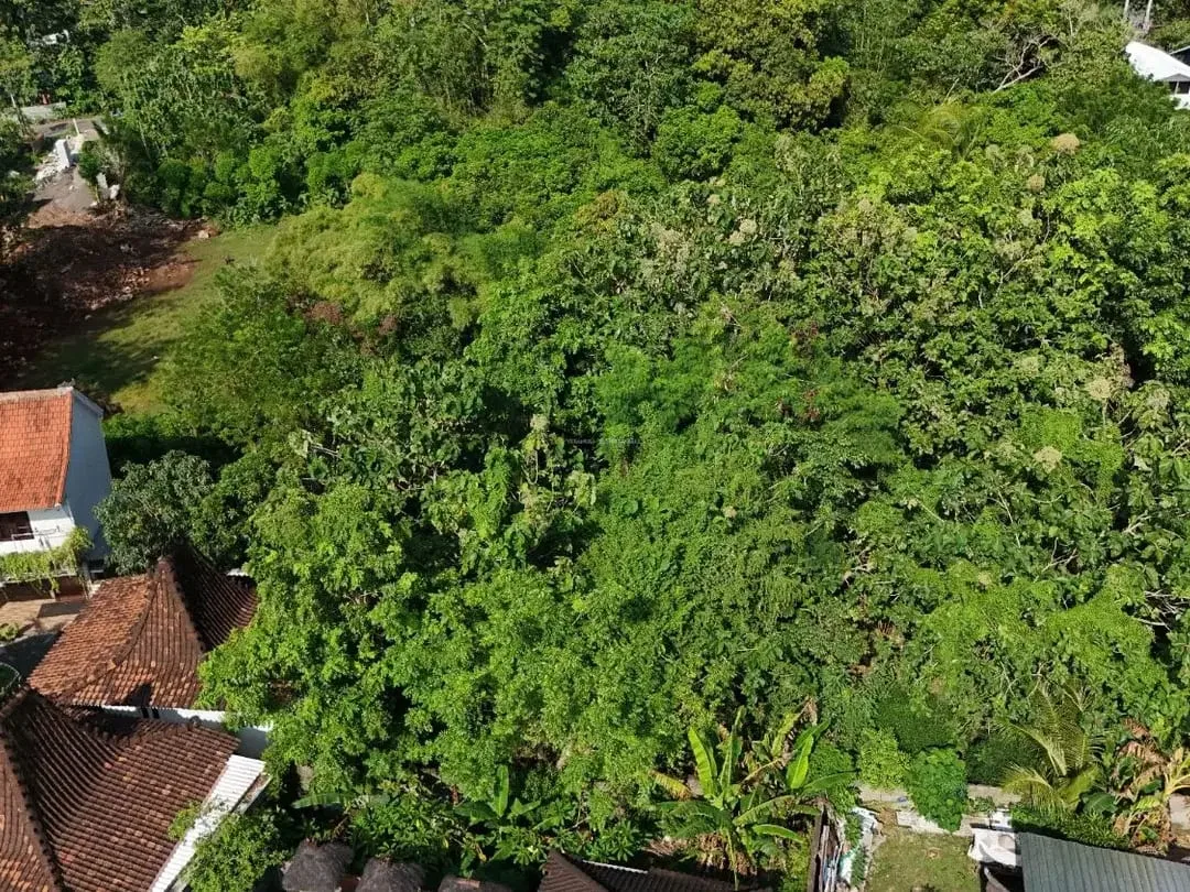 Prime Land Padang-Padang, Uluwatu - Very Rare Opportunity - Image 5 of 10