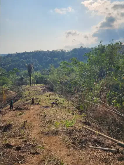 Tanah kavling murah kebun durian penebel Tabanan - Image 4 of 8