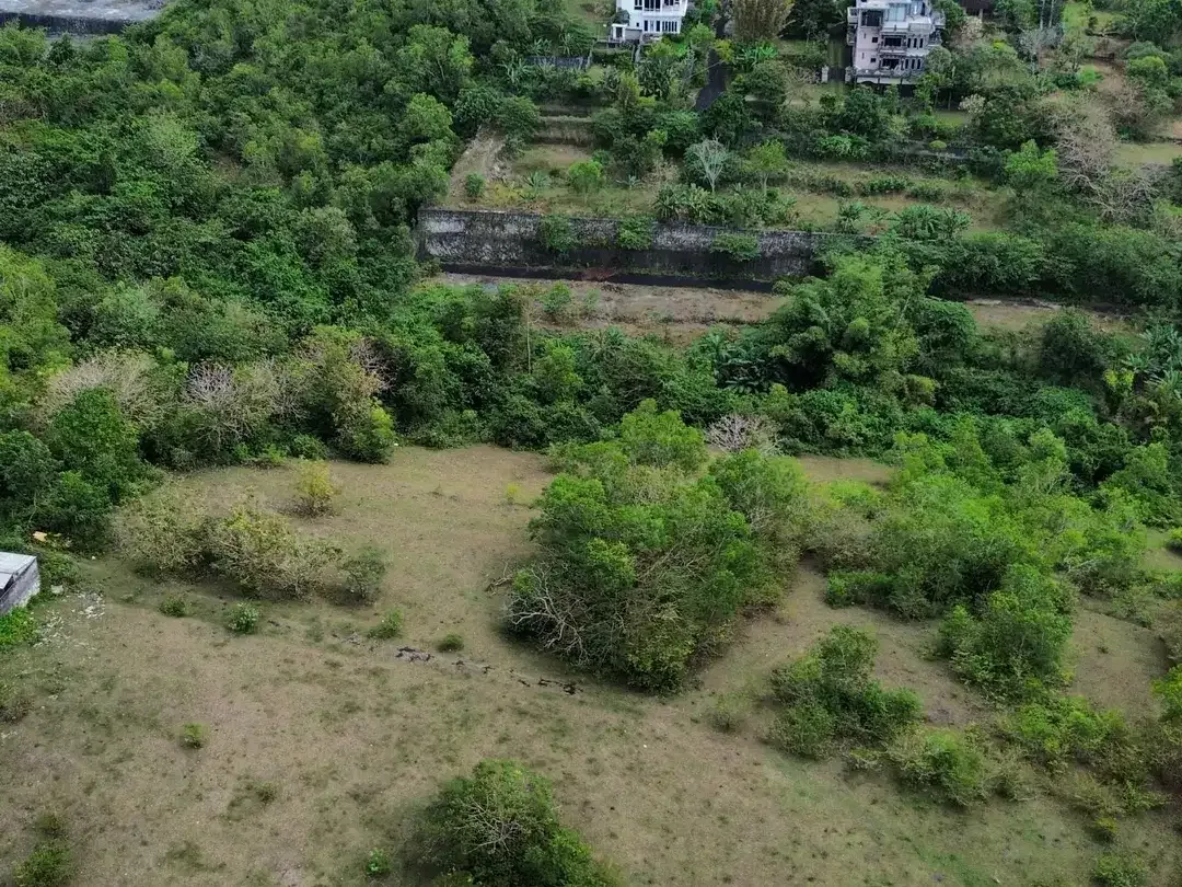 BUC Dijual Tanah di Kampial, Kutuh, Nusa Dua - Image 3 of 8