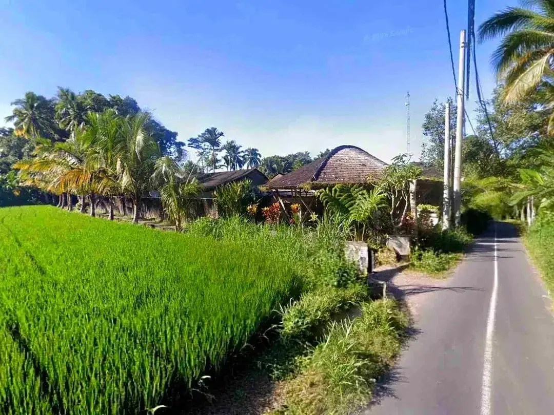 Tanah Riverside Buahan Ubud 500 mtr Hanging Garden hotel - Image 6 of 10