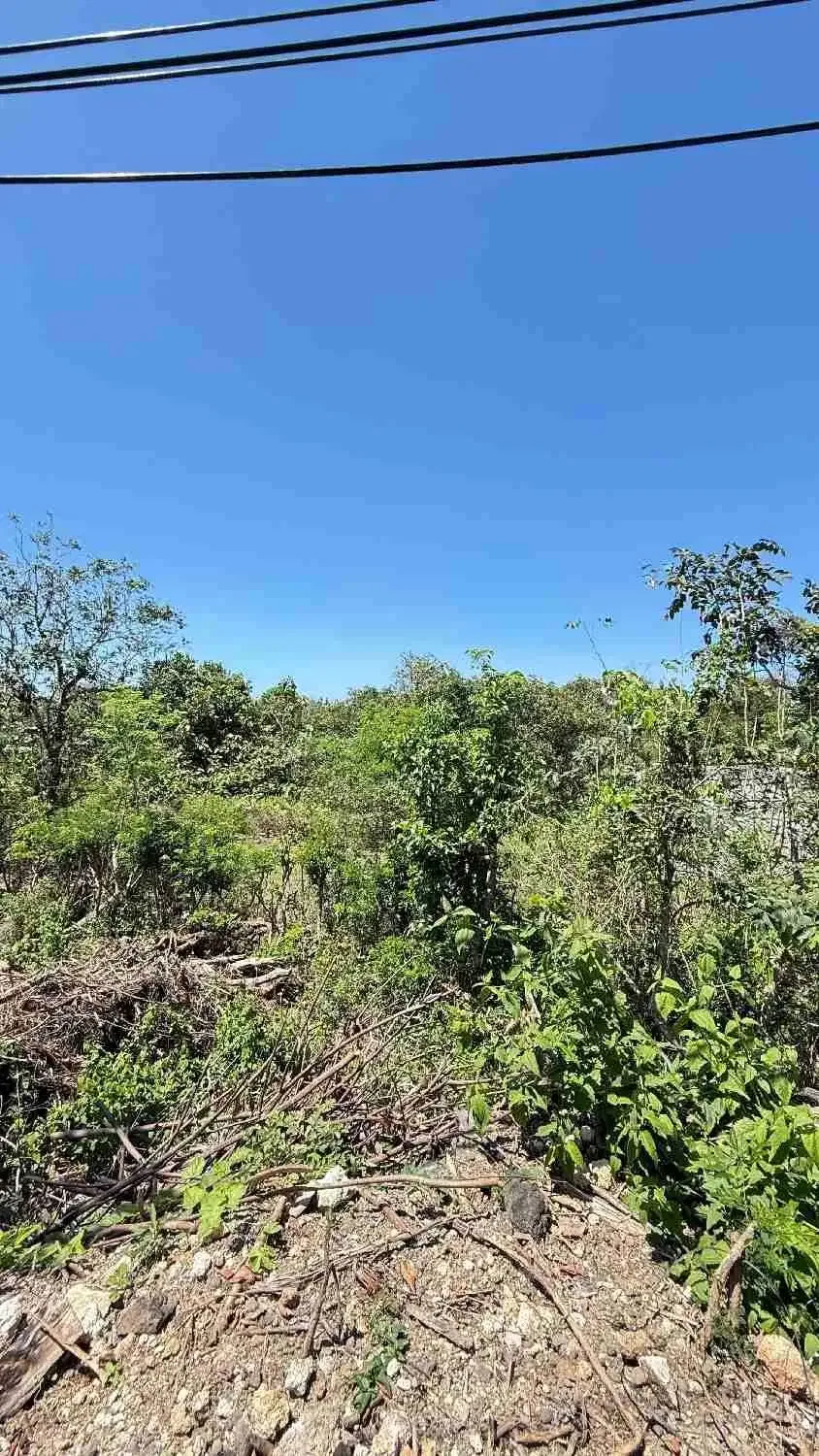 Dijual Tanah Premium Dan Strategis Luas 1810m2 Cocok untuk Komersil - Image 3 of 10