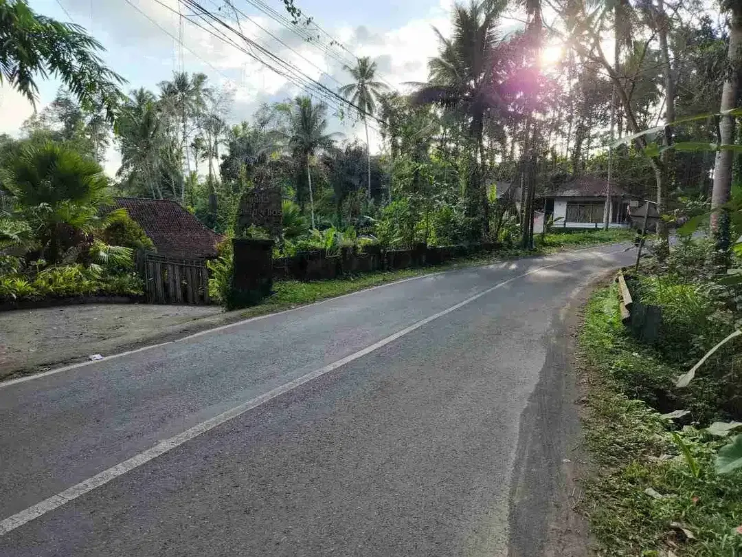 Tanah Komersial Langka Dekat Capella Ubud View Sawah - Image 6 of 10