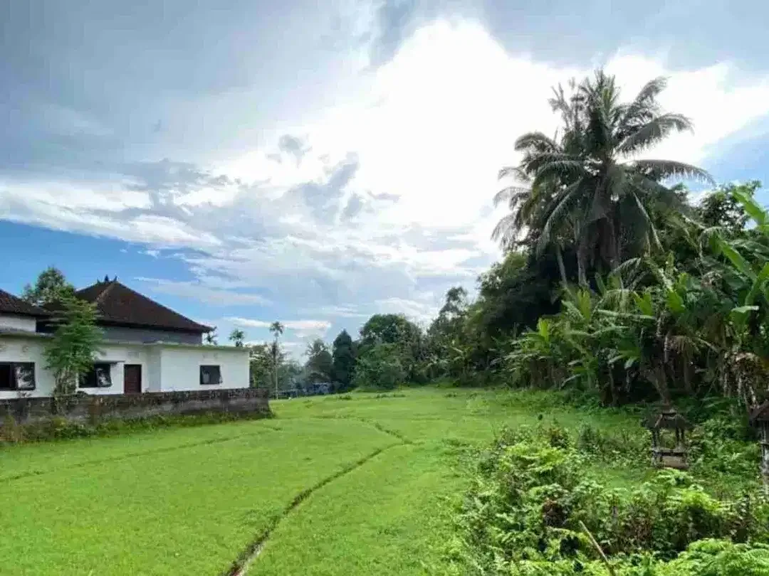 Tanah Megati Bantas Selemadeg Timur Zona Kuning - Image 7 of 8