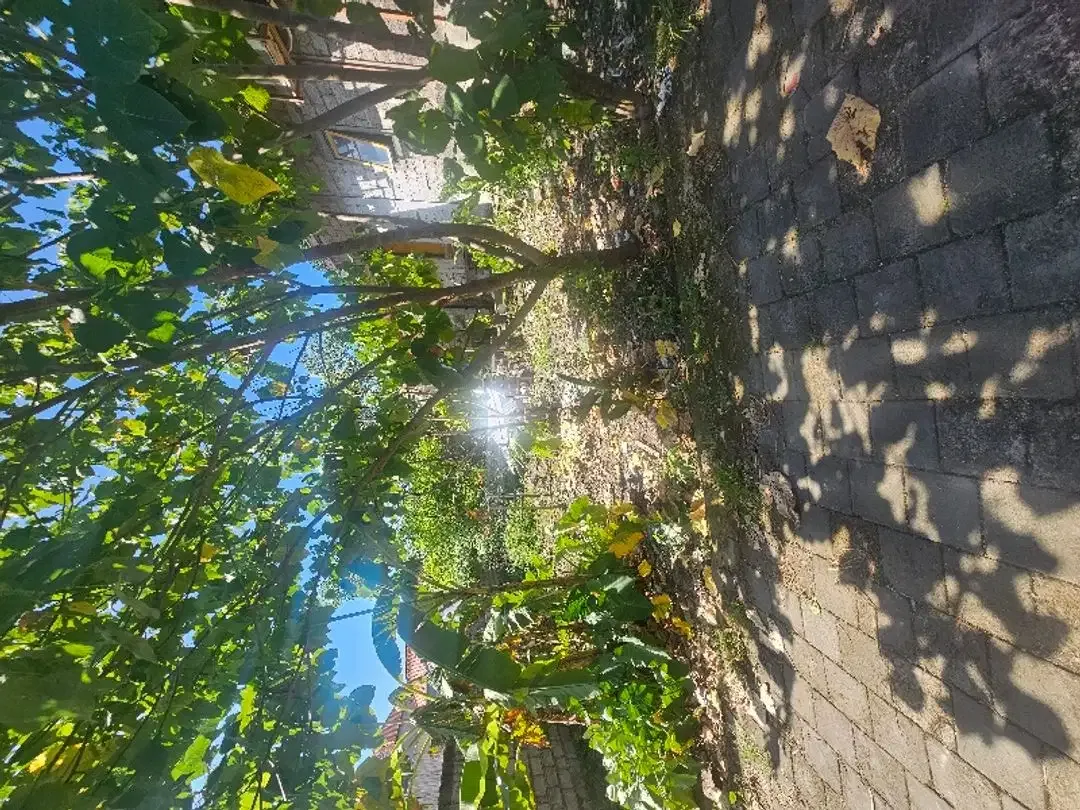 Land for lease yelow zone at Canggu - Image 5 of 5