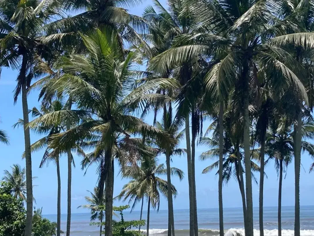 Freehold - Beachfront Land in Great Location Antap Tabanan - Image 5 of 5
