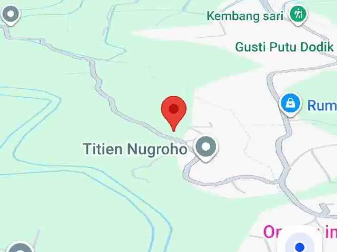 9350 M2 FREEHOLD LAND FOR SALE IN PANGKUNG PARUK SERIRIT BULELENG NORTH BALI - Image 8 of 10