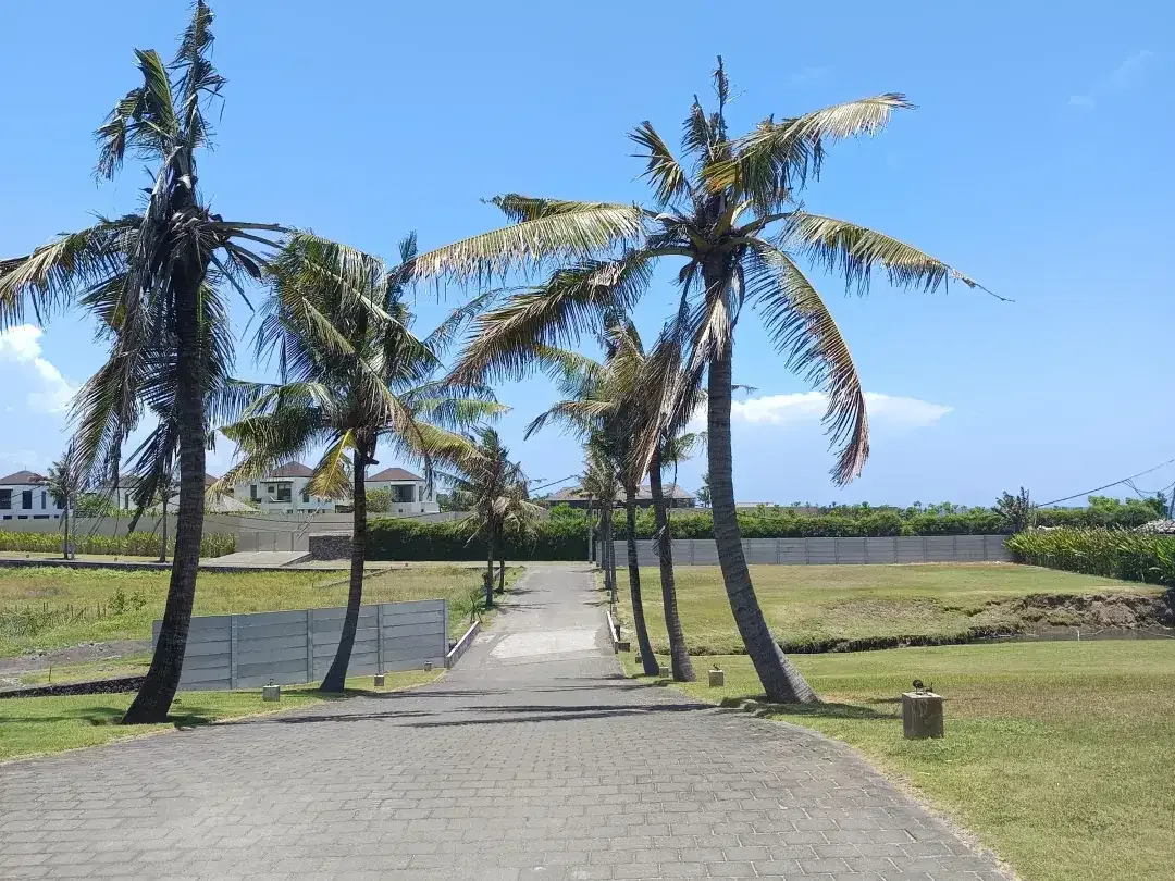 Land for sale in Sukawati, Bali - Image 8 of 8
