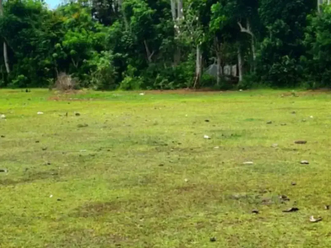 LEASEHOLD TANAH DATAR SIAP BANGUN DI ANCAK SARI PECATU BADUNG, BALI - Image 5 of 8