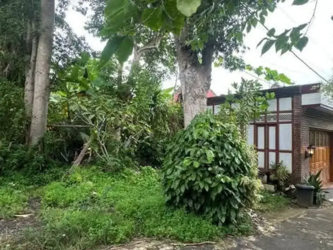 DIJUAL TANAH BELIMBING SARI PECATU BADUNG - Image 1 of 5