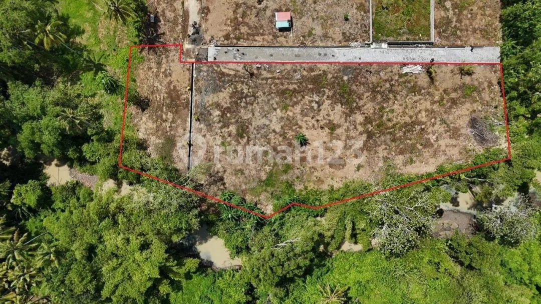 Tanah Kav Premium Dkt Pantai Villa Barbar Selemadeg Itr Pink Jl5mtr - Image 4 of 4