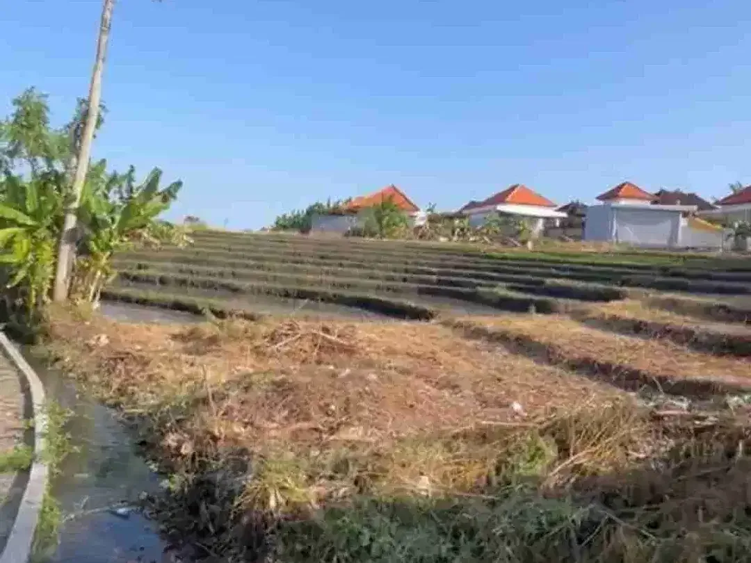 Buc Tanah Lingk Villa.450m2 View Sawah Raya di Kayu Tulang Utr Canggu - Image 1 of 6