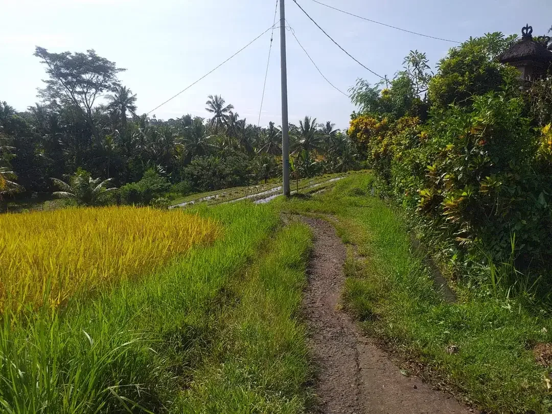 Land with a beautiful view of Soka Beach Road - Image 4 of 5