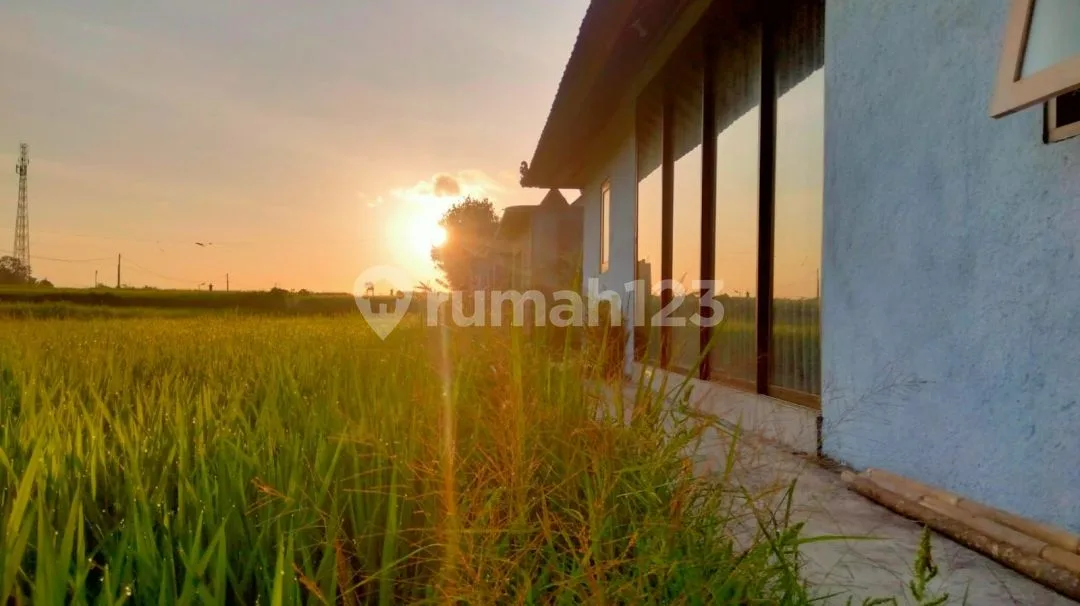 For Rent Villa Rice Field View Ubud Menutes From Ruster Kafe And Pepito Supermarket Sayan Ubud Sayan Singakerta Ubud Gianyar 10 Menutes From Mongkey Forest Center Ubud 40 Menutes From Canggu Nyanyi - Image 3 of 4