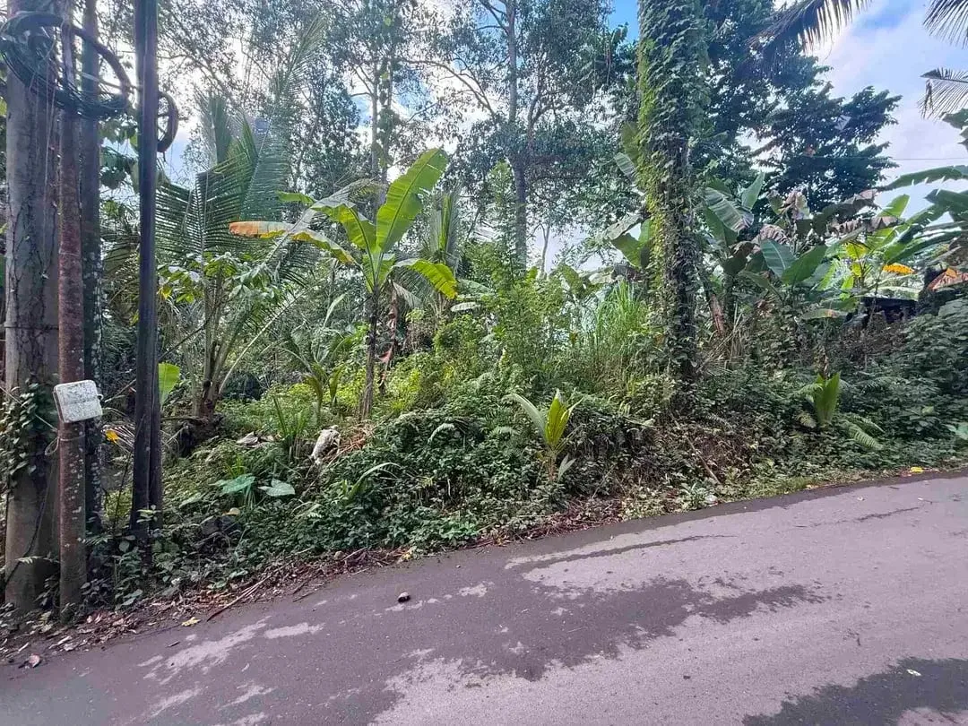Tanah Murah Los Sungai Begawan Giri Payangan Ubud Bali - Image 5 of 10