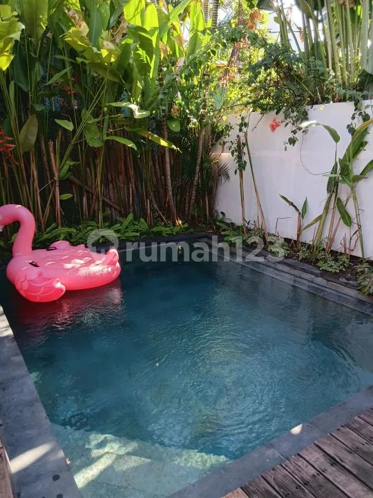 Disewakan Villa Murah di Pantai Pererenan. Harga 1,250 Milyar untuk 12 Tahun - Image 2 of 4