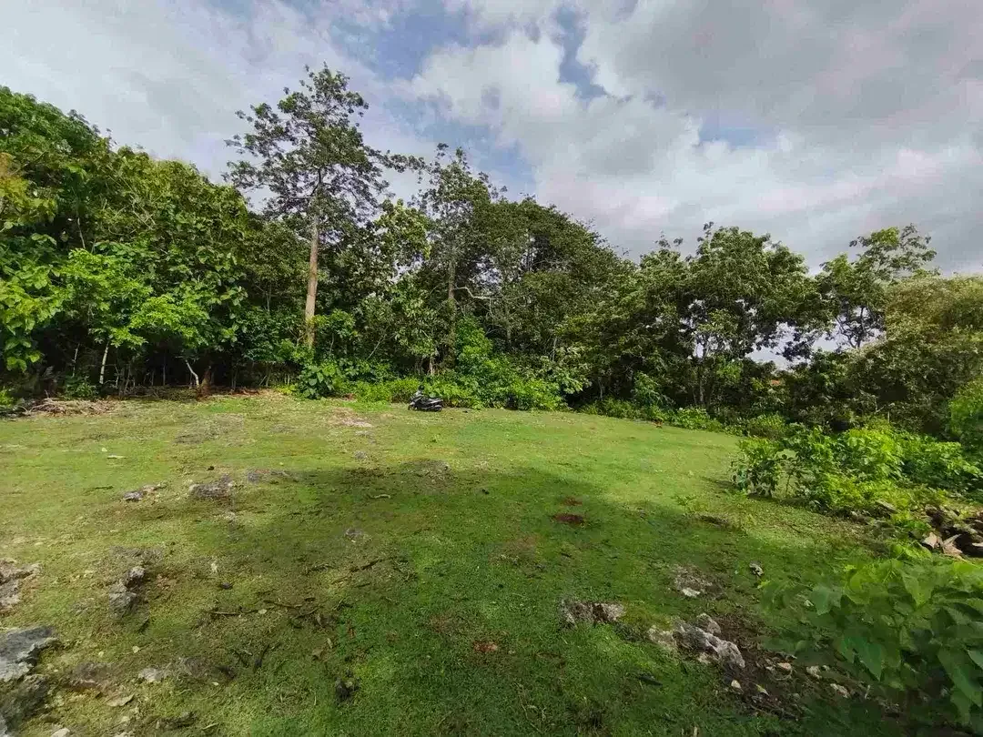 dijual tanah 1430m² IDR 750 juta per are kawasan pantai balangan jimbaran - Image 5 of 10