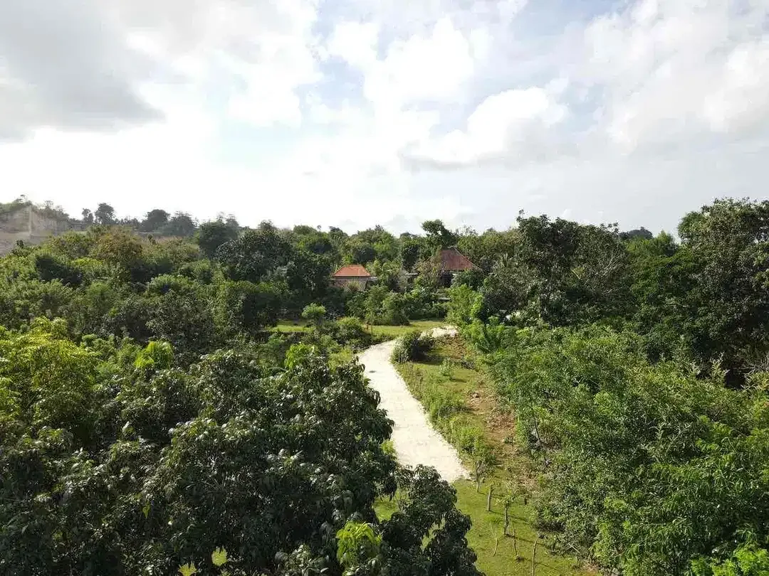 Tanah di Belimbing Sari, pecatu bali
Lokasi: Jl. Belimbing Sari, dekat Sunday Beach Club - Image 3 of 5