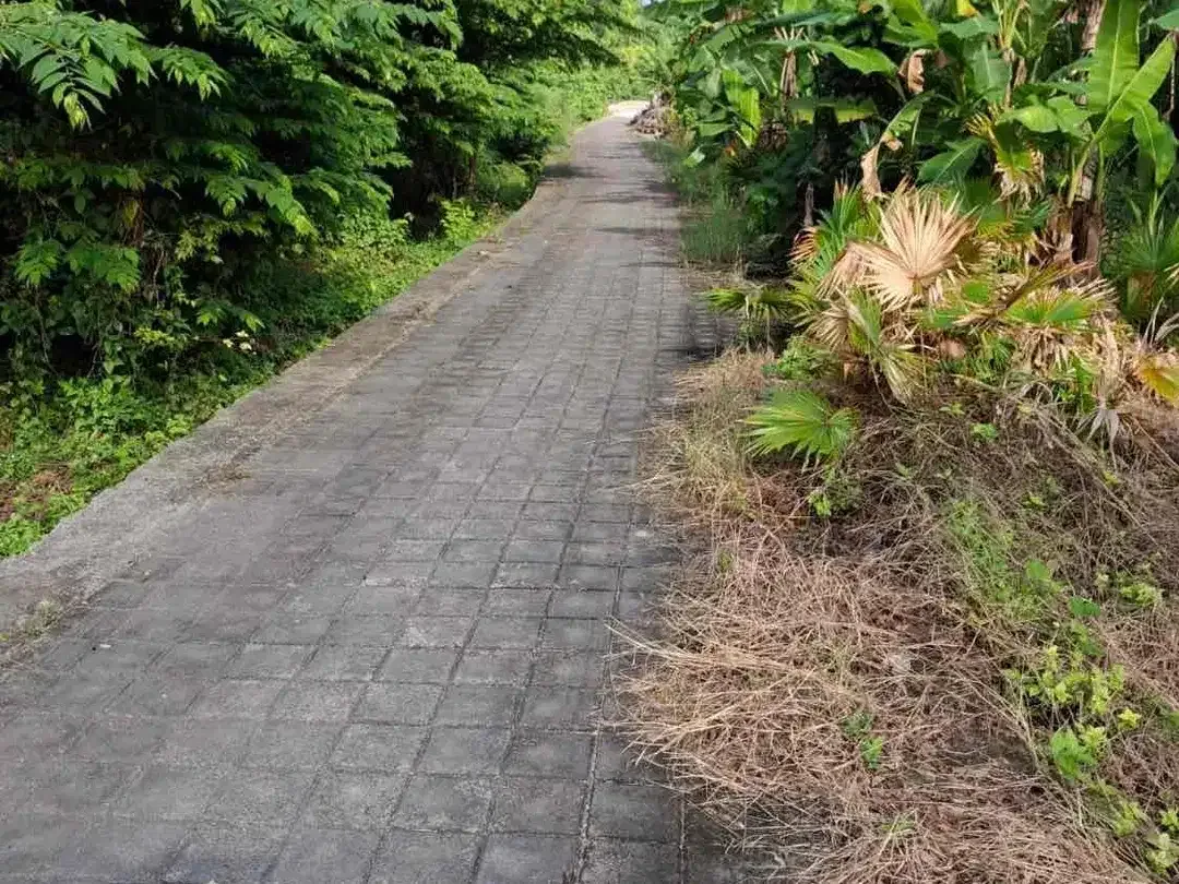 for  freehold or leasehold 
Located on Jalan Camplung tanduk 
GANG bunga kecil Seminyak - Image 5 of 9