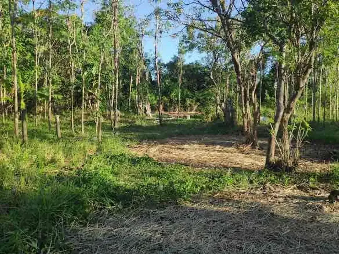 Dijual tanah kavling berlokasi di Jimbaran Bawah - Image 2 of 10