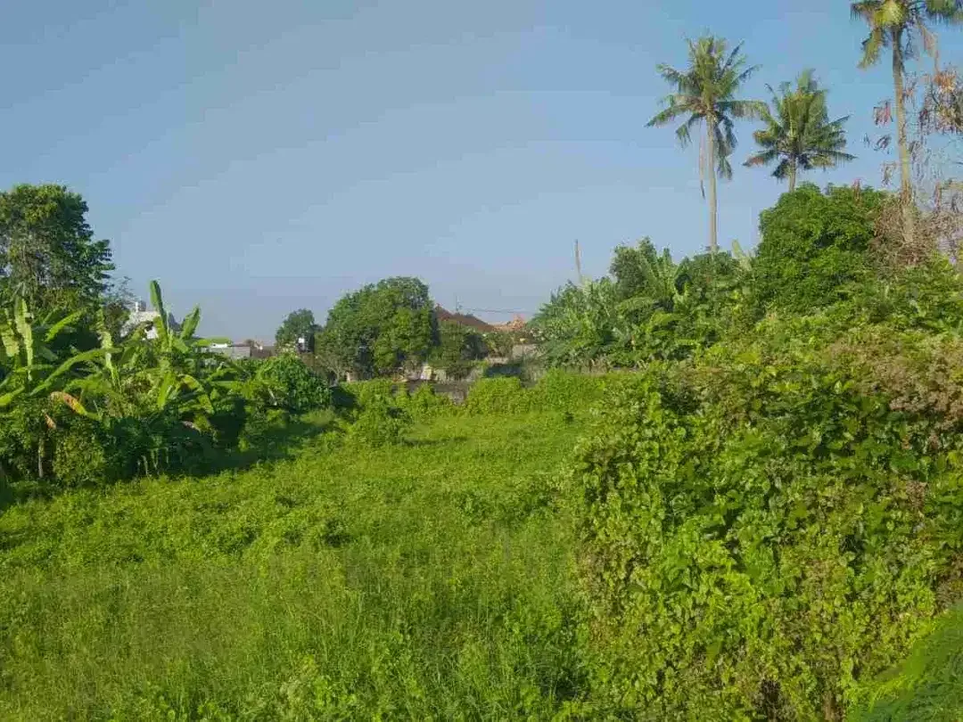 LAND FOR RENT, BUDUK, BADUNG, BALI - Image 3 of 7