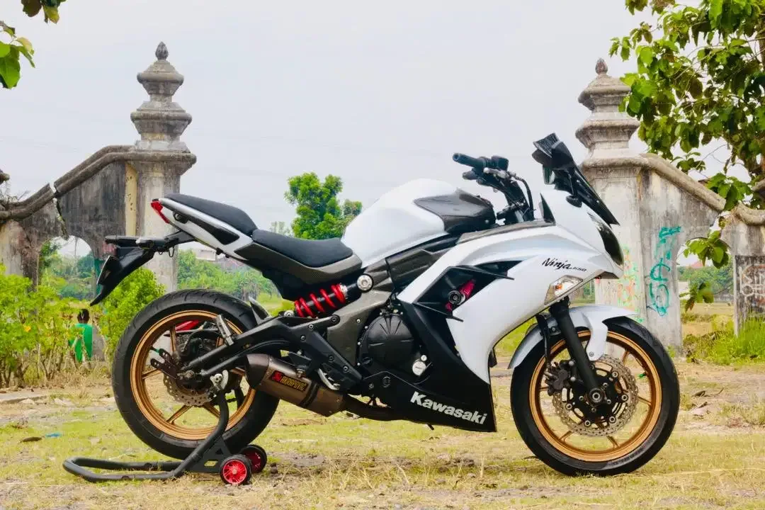 Kawasaki ER6F Rare Putih, ER6, Ninja 250FI, R25, CBR250RR - Image 2 of 4