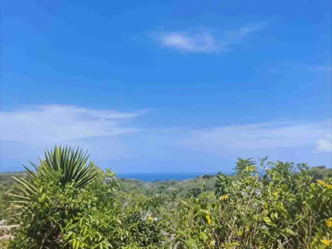 TANAH PREMIUM KOMERSIL JALAN UTAMA, UNBLOCK VIEW NUSADUA
SAWANGAN, NUSADUA BALI - Image 10 of 10