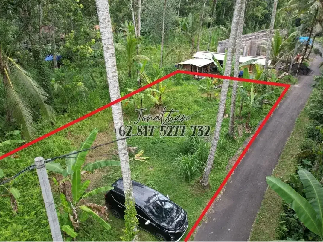 Dijual Tanah SHM Pinggir Jalan Raya 2 Are di Br. Sema Payangan Ubud Bali - Image 2 of 8