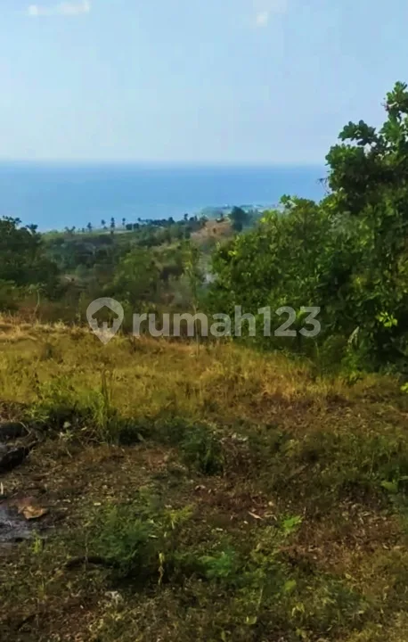 1,37 Hektar Tanah View Laut Shm Cempaga Banjar Buleleng Bali - Image 3 of 4